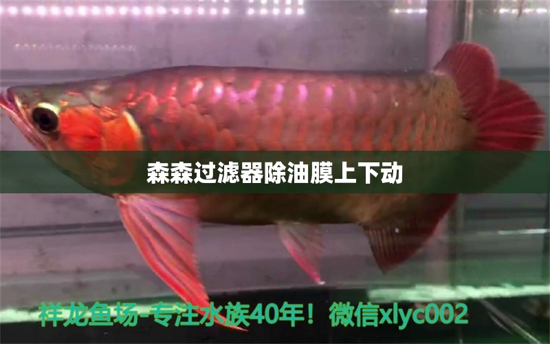 森森過濾器除油膜上下動 森森魚缸 第2張