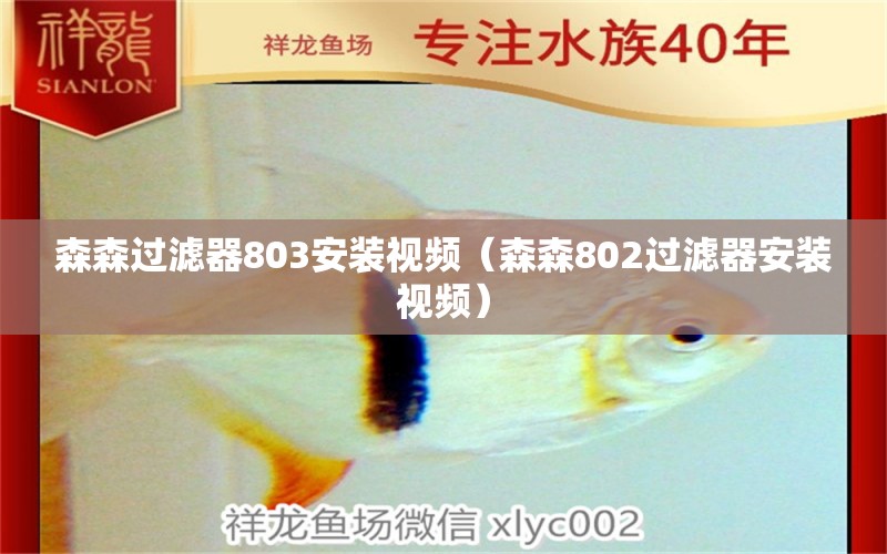 森森過濾器803安裝視頻（森森802過濾器安裝視頻）