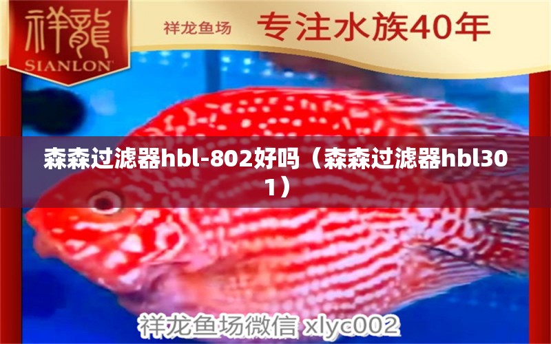 森森過濾器hbl-802好嗎（森森過濾器hbl301）