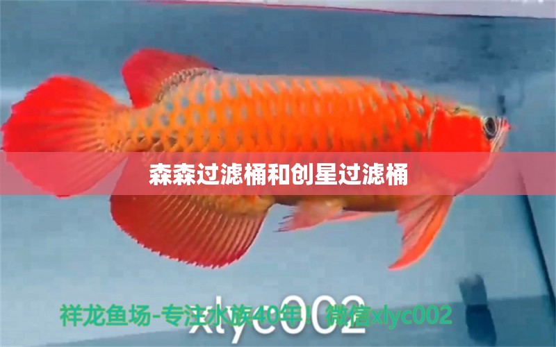 森森過濾桶和創(chuàng)星過濾桶 森森魚缸 第2張