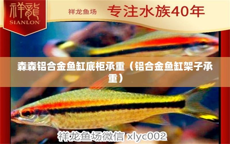 森森鋁合金魚缸底柜承重（鋁合金魚缸架子承重）