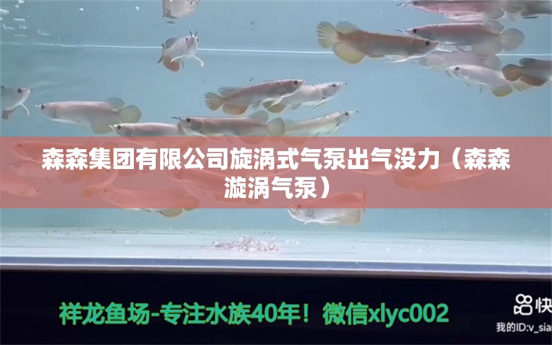 森森集團有限公司旋渦式氣泵出氣沒力（森森漩渦氣泵） 過濾設(shè)備