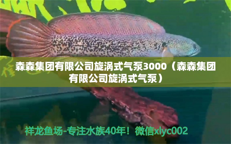 森森集團(tuán)有限公司旋渦式氣泵3000（森森集團(tuán)有限公司旋渦式氣泵）