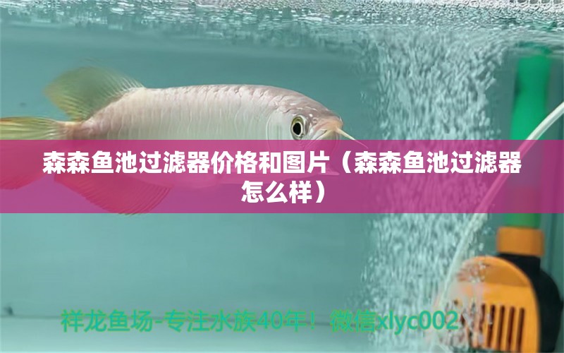 森森魚池過濾器價格和圖片（森森魚池過濾器怎么樣）