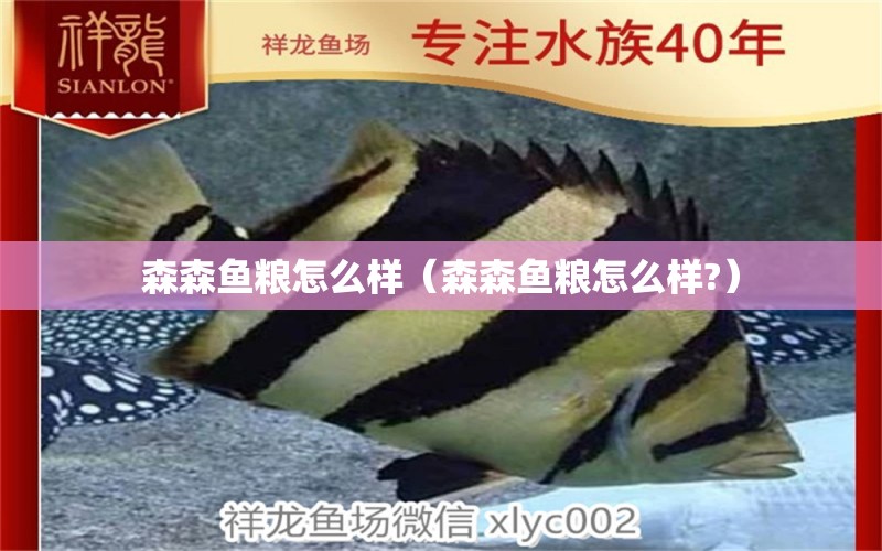 森森魚糧怎么樣（森森魚糧怎么樣?）