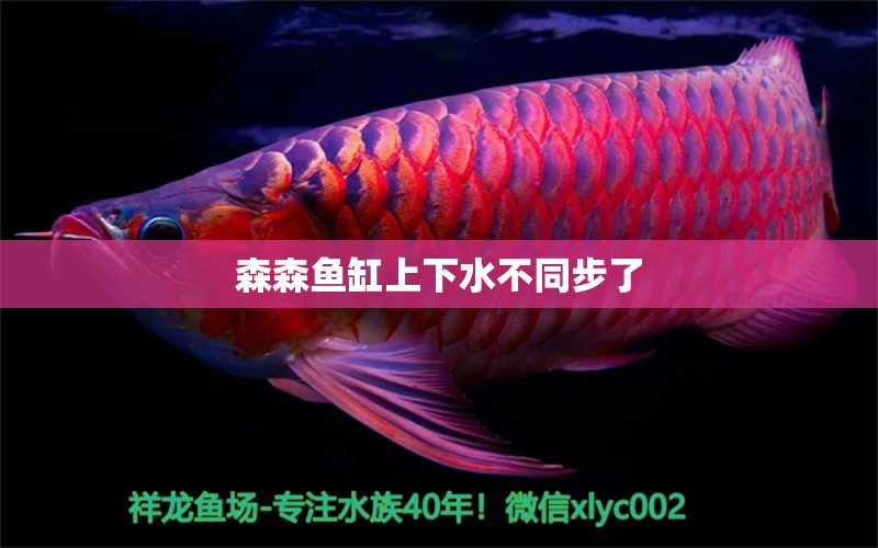 森森魚缸上下水不同步了 森森魚缸 第1張