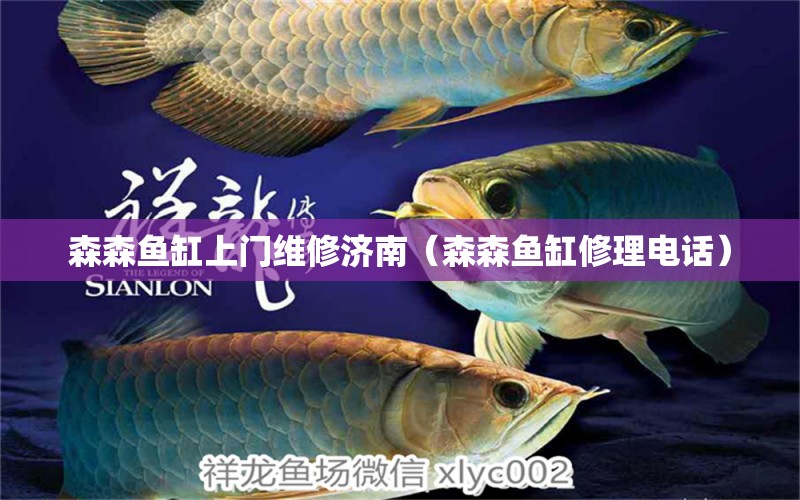 森森魚(yú)缸上門(mén)維修濟(jì)南（森森魚(yú)缸修理電話）