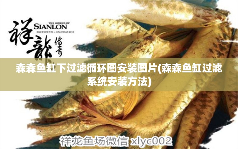 森森魚缸下過濾循環(huán)圖安裝圖片(森森魚缸過濾系統(tǒng)安裝方法)