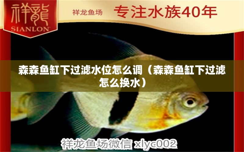 森森魚(yú)缸下過(guò)濾水位怎么調(diào)（森森魚(yú)缸下過(guò)濾怎么換水）