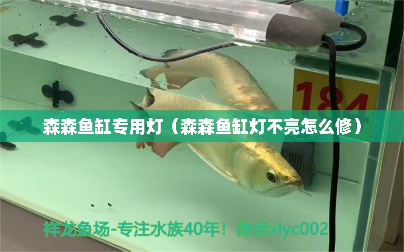 森森魚(yú)缸專(zhuān)用燈（森森魚(yú)缸燈不亮怎么修） 七紋巨鯉魚(yú)