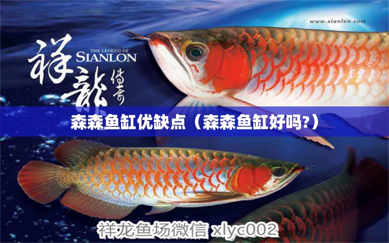 森森魚缸優(yōu)缺點(diǎn)（森森魚缸好嗎?）