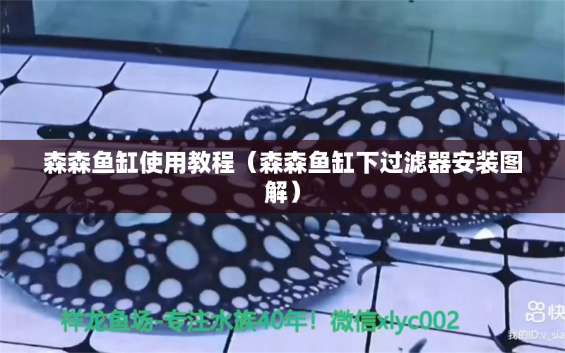 森森魚(yú)缸使用教程（森森魚(yú)缸下過(guò)濾器安裝圖解）