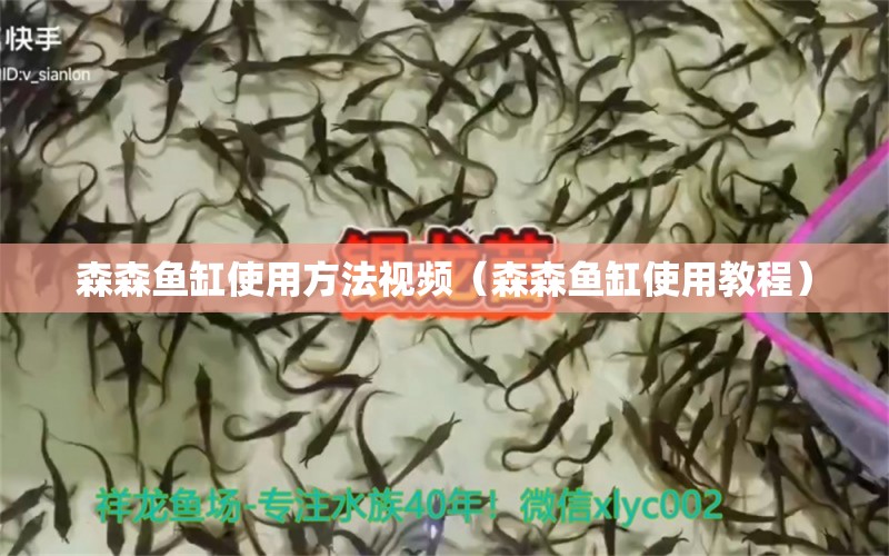 森森魚缸使用方法視頻（森森魚缸使用教程）