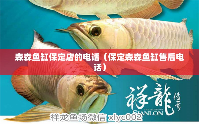 森森魚缸保定店的電話（保定森森魚缸售后電話）