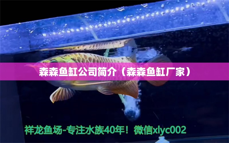 森森魚(yú)缸公司簡(jiǎn)介（森森魚(yú)缸廠家）