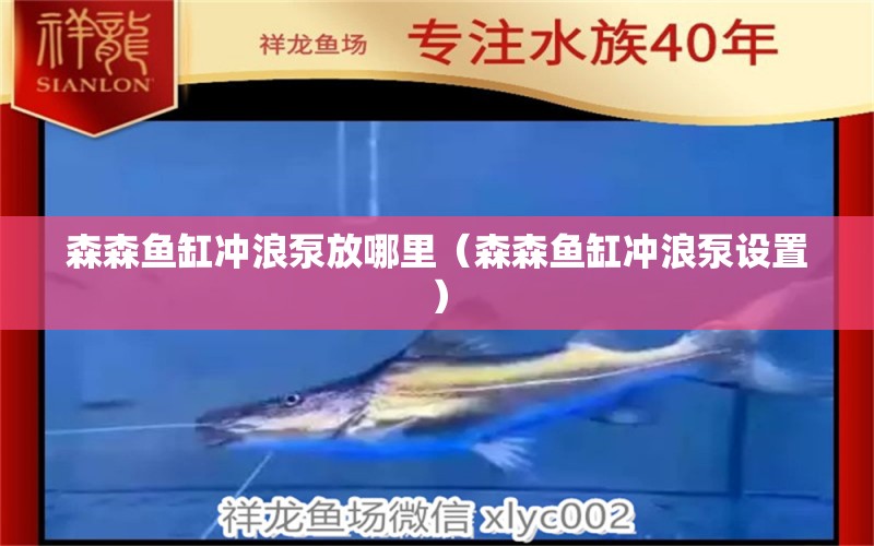 森森魚缸沖浪泵放哪里（森森魚缸沖浪泵設置）