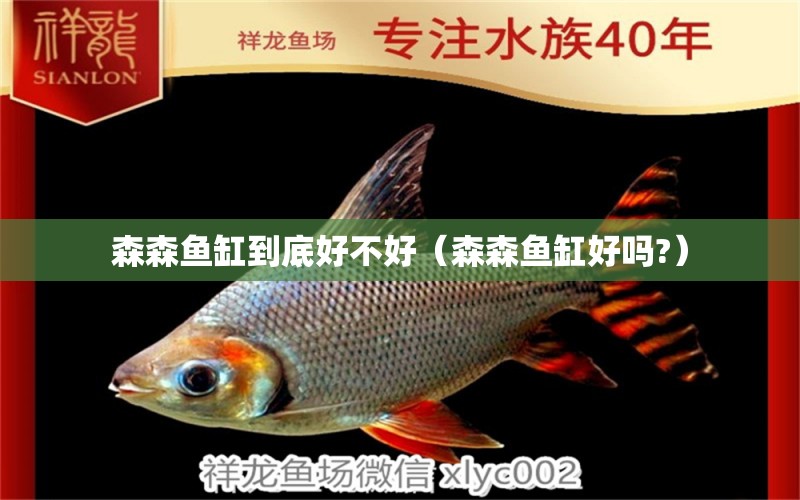 森森魚(yú)缸到底好不好（森森魚(yú)缸好嗎?）