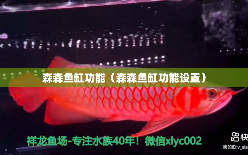 森森魚缸功能（森森魚缸功能設(shè)置） 森森魚缸