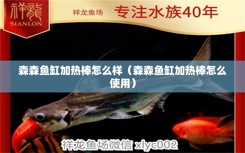 森森魚缸加熱棒怎么樣（森森魚缸加熱棒怎么使用）