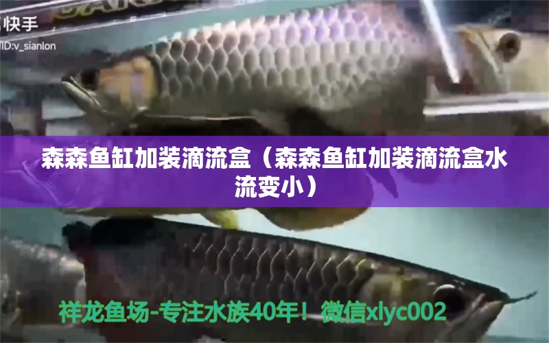 森森魚缸加裝滴流盒（森森魚缸加裝滴流盒水流變?。?森森魚缸