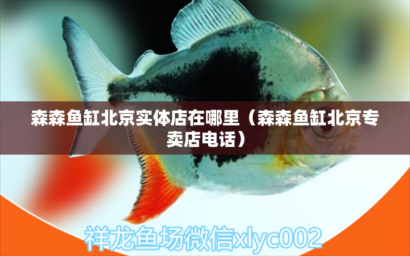 森森魚缸北京實體店在哪里（森森魚缸北京專賣店電話）