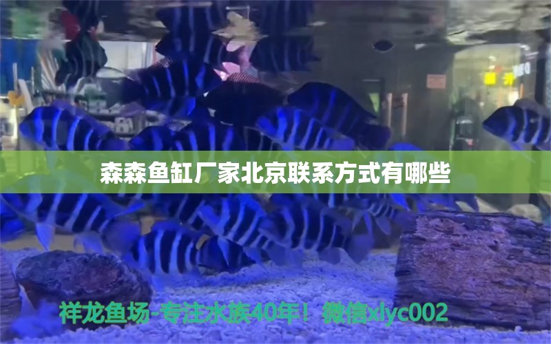 森森魚缸廠家北京聯(lián)系方式有哪些