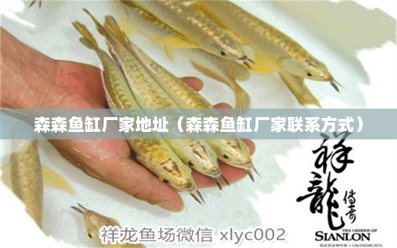 森森魚缸廠家地址（森森魚缸廠家聯(lián)系方式）