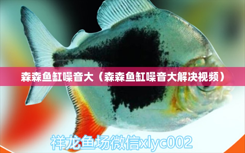 森森魚缸噪音大（森森魚缸噪音大解決視頻） 網(wǎng)上購買觀賞魚