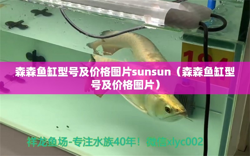 森森魚缸型號及價格圖片sunsun（森森魚缸型號及價格圖片） 祥龍魚場