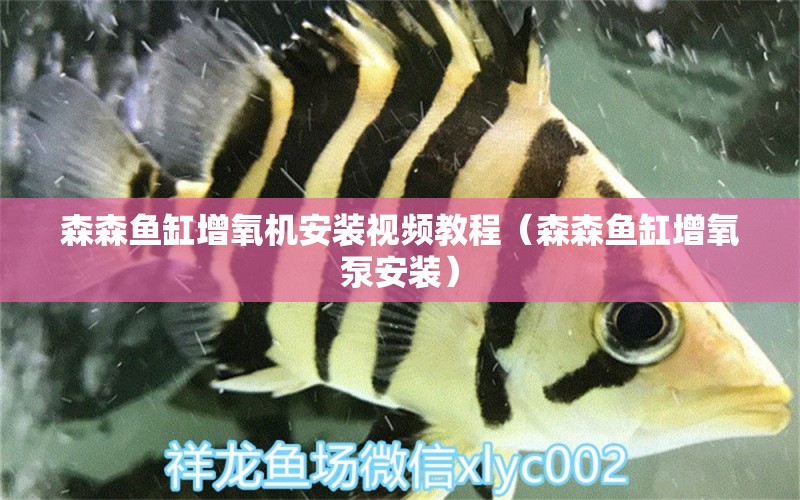 森森魚缸增氧機安裝視頻教程（森森魚缸增氧泵安裝）