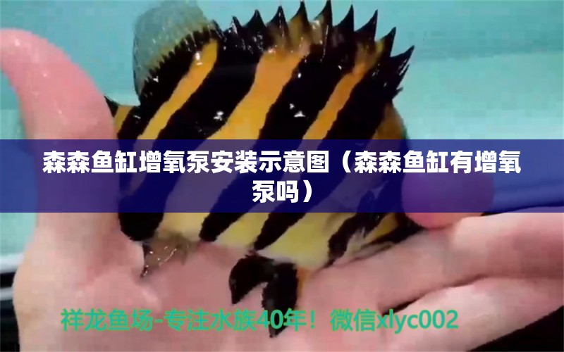 森森魚(yú)缸增氧泵安裝示意圖（森森魚(yú)缸有增氧泵嗎） 森森魚(yú)缸