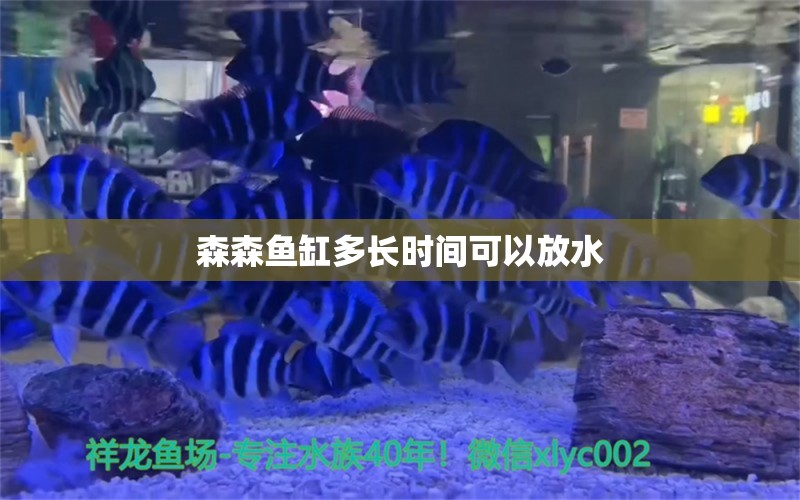 森森魚(yú)缸多長(zhǎng)時(shí)間可以放水 森森魚(yú)缸 第1張