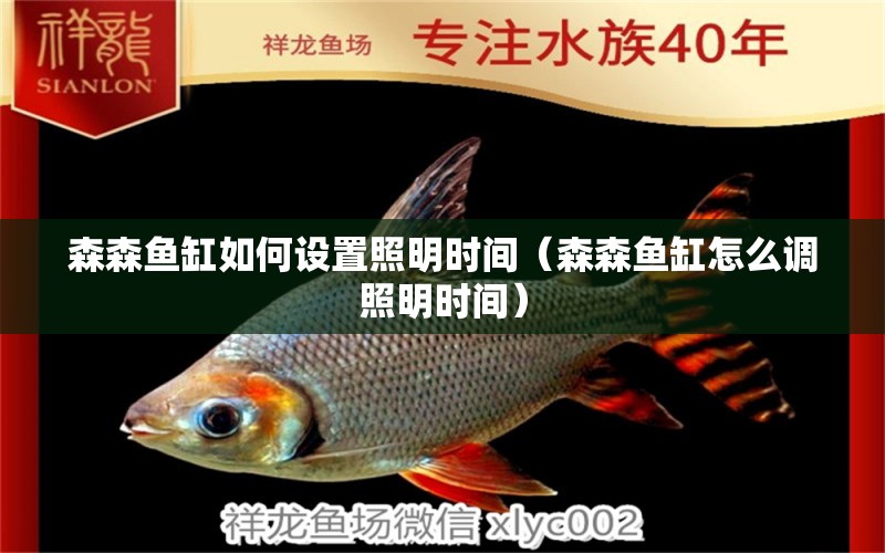 森森魚缸如何設(shè)置照明時(shí)間（森森魚缸怎么調(diào)照明時(shí)間）