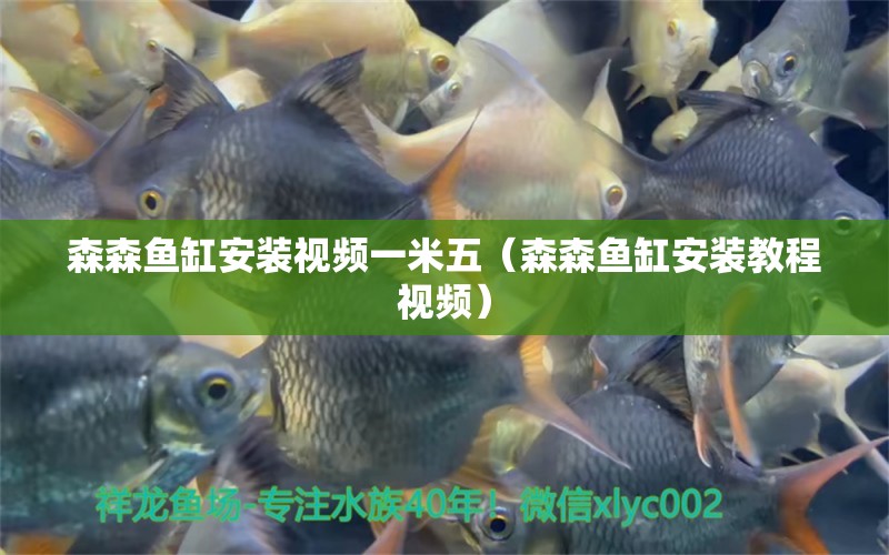 森森魚(yú)缸安裝視頻一米五（森森魚(yú)缸安裝教程視頻）