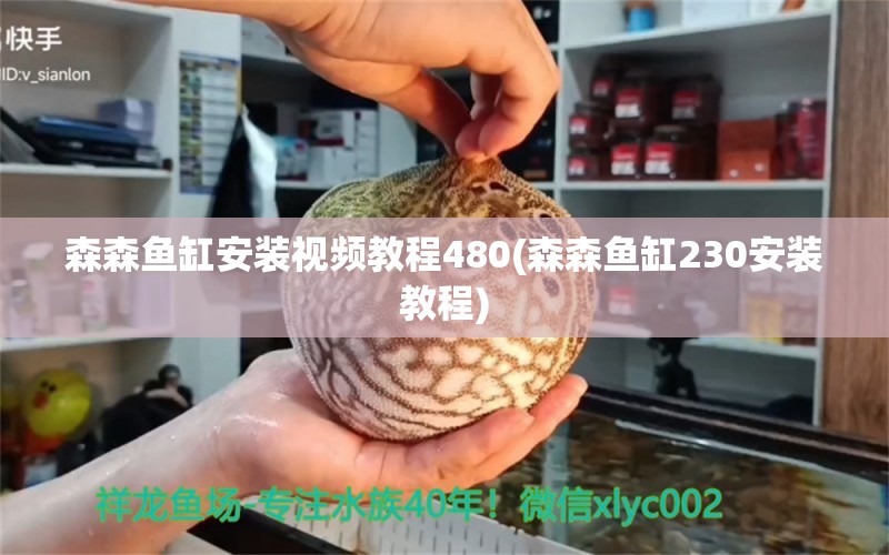 森森魚缸安裝視頻教程480(森森魚缸230安裝教程)