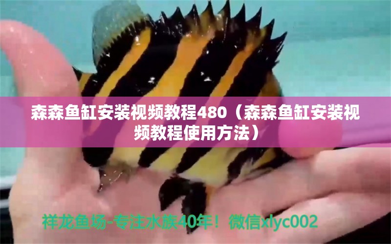 森森魚缸安裝視頻教程480（森森魚缸安裝視頻教程使用方法）