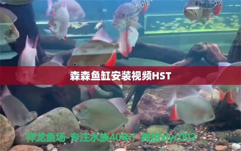 森森魚缸安裝視頻HST 過濾設(shè)備