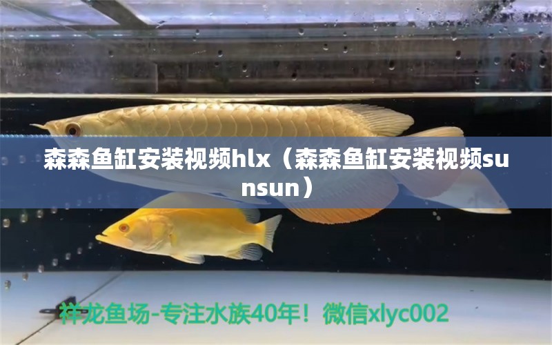 森森魚缸安裝視頻hlx（森森魚缸安裝視頻sunsun）