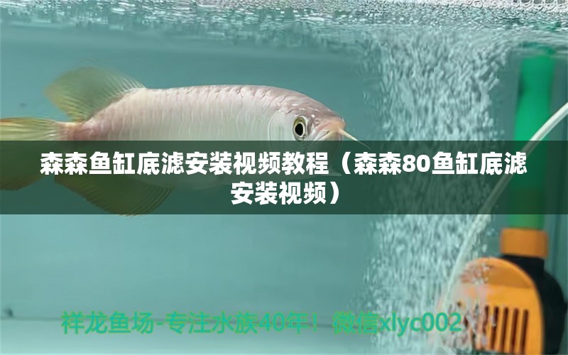 森森魚(yú)缸底濾安裝視頻教程（森森80魚(yú)缸底濾安裝視頻）