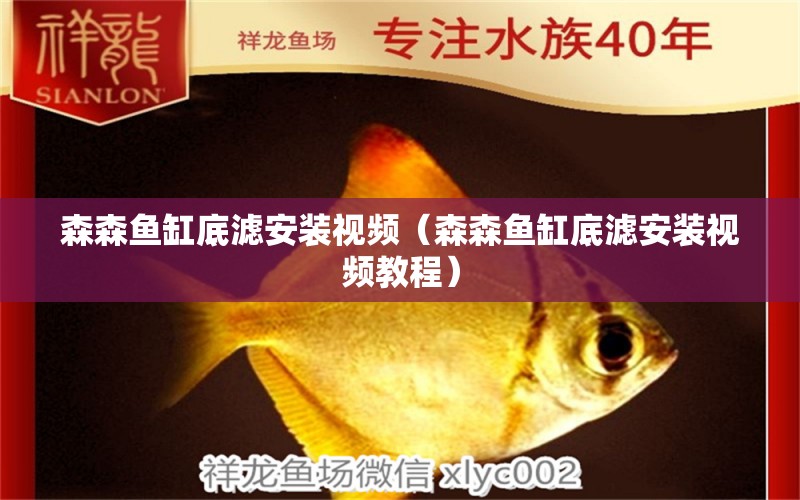 森森魚缸底濾安裝視頻（森森魚缸底濾安裝視頻教程）