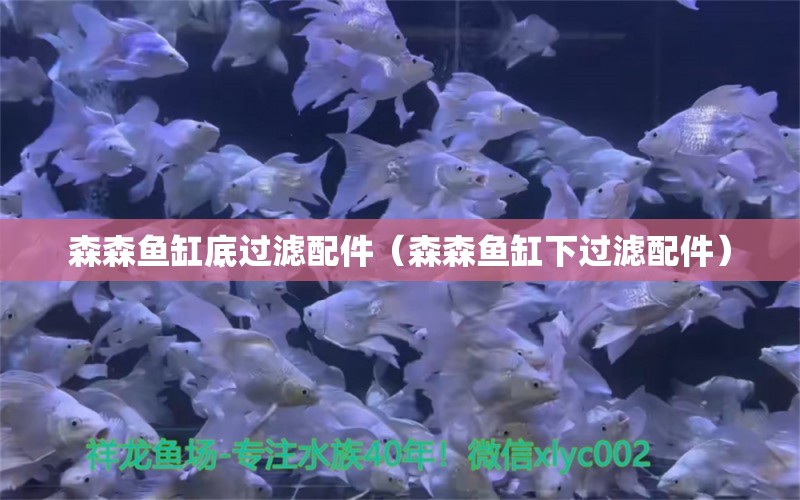 森森魚缸底過濾配件（森森魚缸下過濾配件）