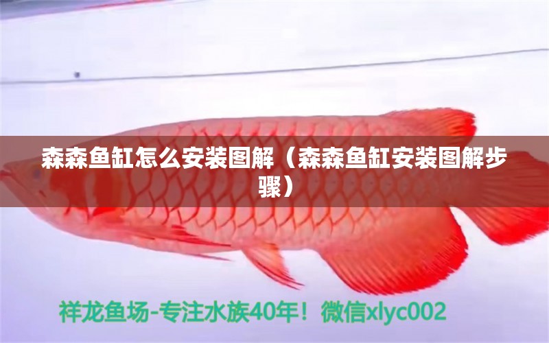 森森魚缸怎么安裝圖解（森森魚缸安裝圖解步驟） 森森魚缸