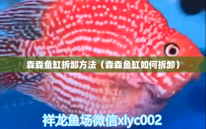 森森魚缸拆卸方法（森森魚缸如何拆卸）