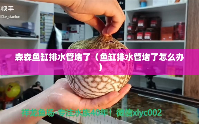 森森魚(yú)缸排水管堵了（魚(yú)缸排水管堵了怎么辦） 黑金魟魚(yú)