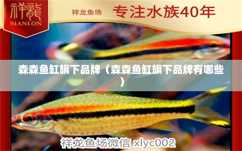 森森魚缸旗下品牌（森森魚缸旗下品牌有哪些）