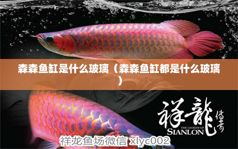 森森魚(yú)缸是什么玻璃（森森魚(yú)缸都是什么玻璃）