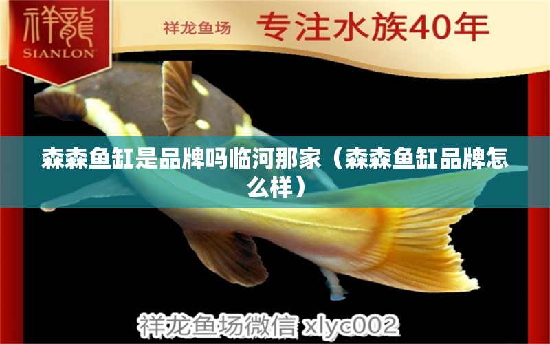 森森魚缸是品牌嗎臨河那家（森森魚缸品牌怎么樣）