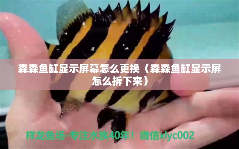 森森魚缸顯示屏幕怎么更換（森森魚缸顯示屏怎么拆下來） 廣州龍魚批發(fā)市場(chǎng)