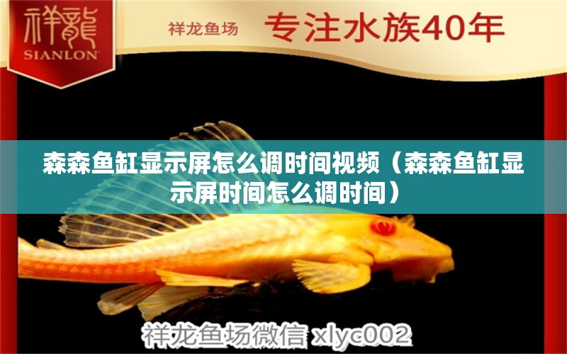 森森魚(yú)缸顯示屏怎么調(diào)時(shí)間視頻（森森魚(yú)缸顯示屏?xí)r間怎么調(diào)時(shí)間）