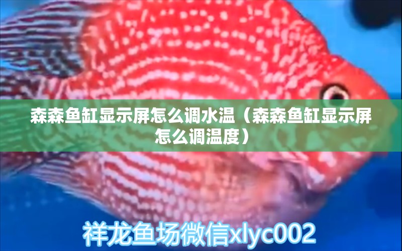 森森魚缸顯示屏怎么調(diào)水溫（森森魚缸顯示屏怎么調(diào)溫度）